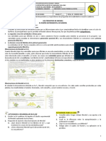 Lectura complementaria - EXPERIMENTOS DE MENDEL