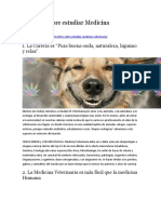 10 mitos Medicina Veterinaria