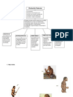 La Evolución Del Hombre