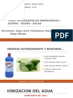 Tema: Biomoleculas Inorganicas - Acidos - Bases - Sales Docentes: Juan José Valladares Sánchez Hugo Murga