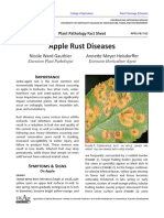 Apple Rust Diseases