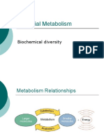 Microbial Metabolism: Biochemical Diversity