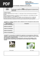 Guia 3 Evidencias de La Evolucion 1° Medio