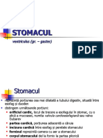 5. Stomacul