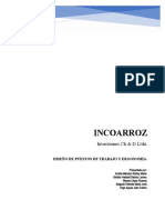 Diseño de Puestos de Trabajo y Ergonomia Incoarroz Ltda-1