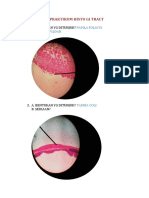 Praktikum Histo Gi Tract