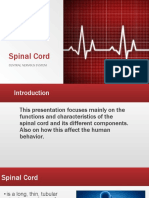Spinal Cord: Central Nervous System