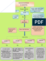 Mapa Conceptual