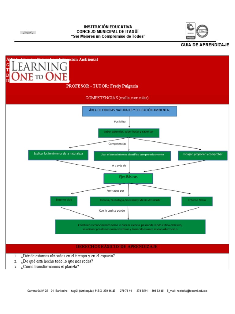 Tema 2 Clasificación Seres Vivos Taxonomía Pdf Pdf Organismos