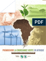 Promouvoir la croissance verte en Afrique