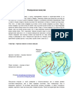 Вантропски монсуни Аранђел Јовичић 1-8