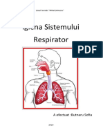 Sistemul Respirator