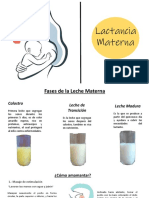 Lactancia Materna Tema 