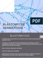 Blastomyces Dermatitidis