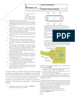 Transmissão sináptica e potencial de ação