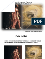 Evolução Slides