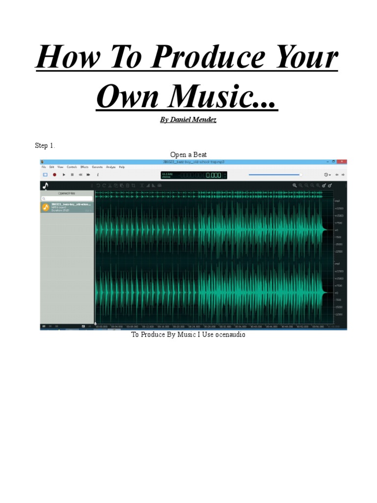 Music Distribution Guide PDF