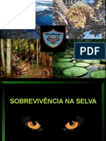 Técnicas de Sobrevivência SIESP 2020