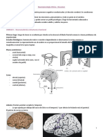 Resumen Neuropsicología Clínica