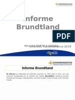 Informe Brundtland