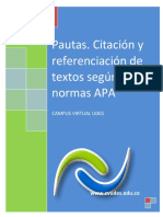 Instructivo_Pautas_Normas_APA_CVUDES.pdf