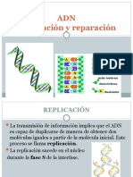 Clase teorica 23_REPLICACION Y REPARACION TM_versión 2_2.pptx