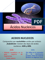 Clase teorica 7_acidos nucleicos_versión final.ppt