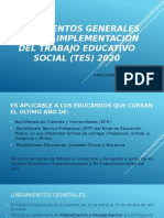 Lineamientos para La Implementacion Del Trabajo Educativo Social 2020