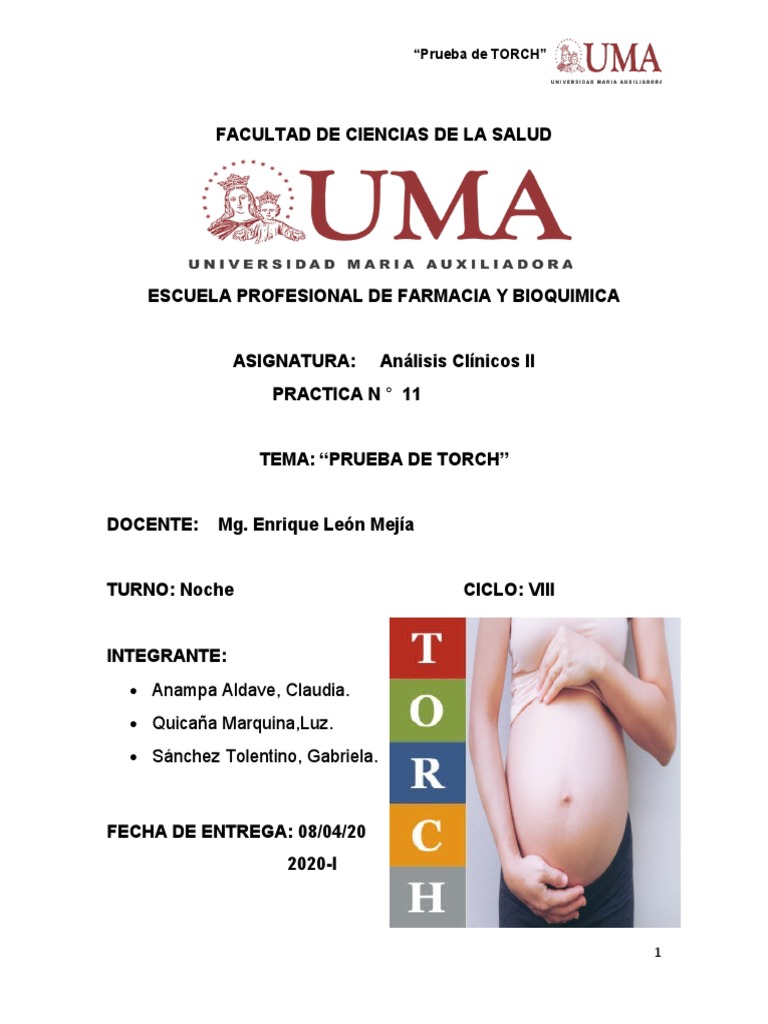 Prueba de TORCH en Embarazo y Neonatos | PDF | Enfermedades y ...