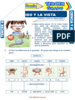 Cuida tus sentidos: 40 pasos para conocer el oído y la vista