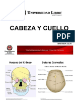 Cabeza y Cuello