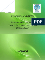 Fisiologia Vegetal Enfermedades Bacterias y Virus