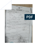 Documento o informe