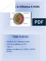 Virus H1N1-M Humana