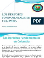 1. Los Derechos Fundamentales en Colombia