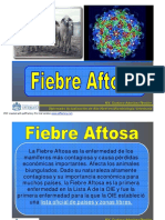 2.FIEBRE AFTOSA Dr. Gustavo Arbelaez