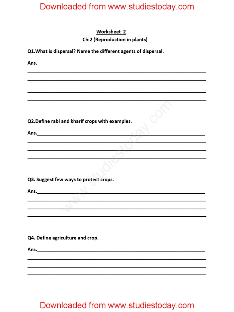 Class 5 Plant Reproduction Worksheet | PDF | Branches Of Botany | Botany