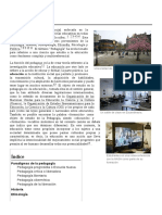 Pedagogía PDF