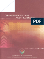 Cleaner Production Audit Guidelines