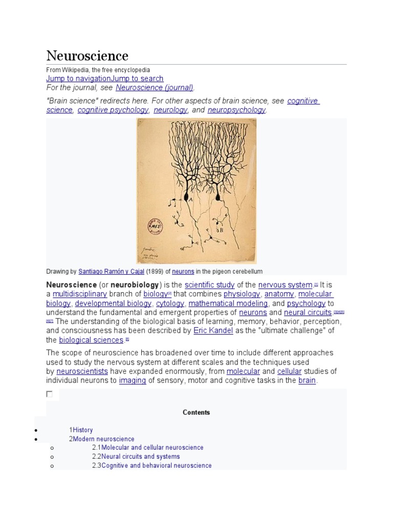 Neuroscience For The Journal See Brain Science Redirects Here