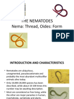 The Nematodes Nema: Thread, Oides: Form