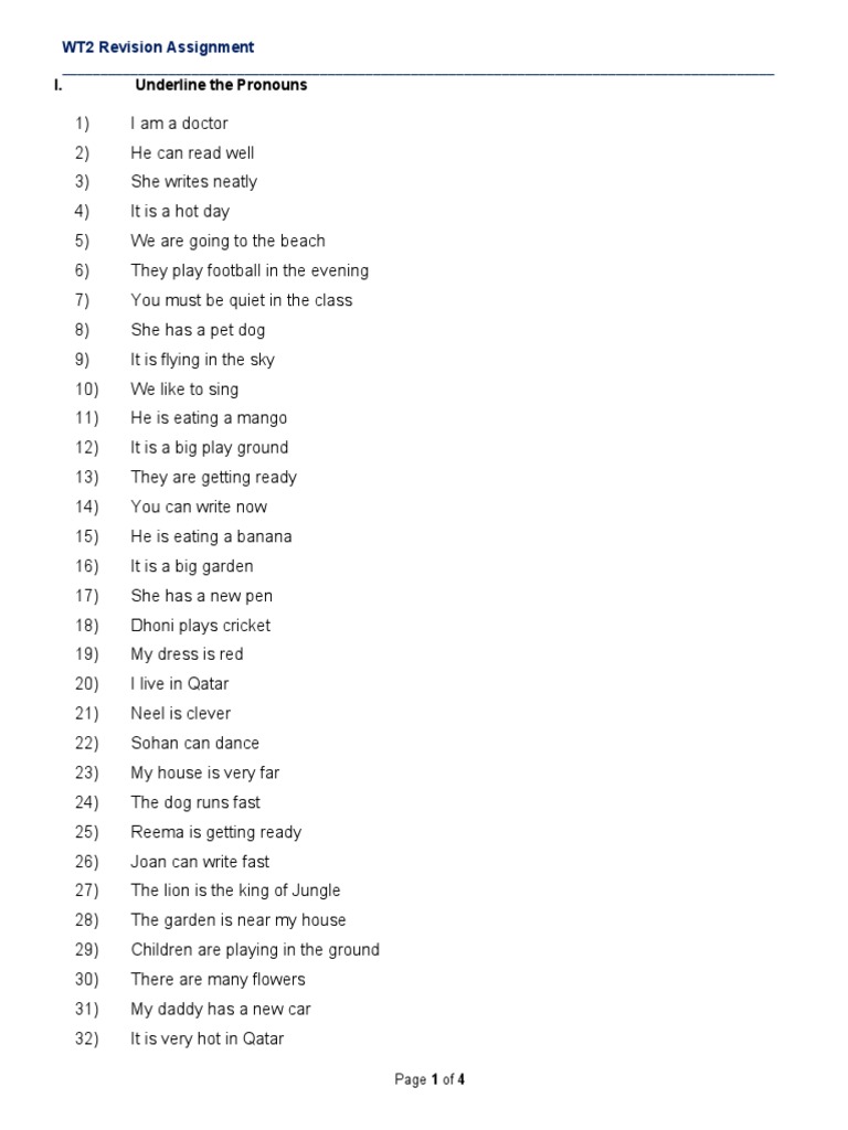Pronoun and Plural Revision Exercise | PDF