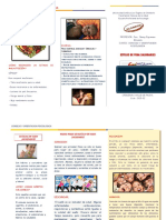 Triptico Sobre Estilos de Vida Saludables PDF