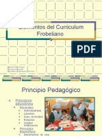 Elementos del Curriculum Frobeliano