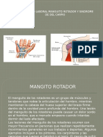 Presentaciónmanguito Rotador y Tunelcarpio