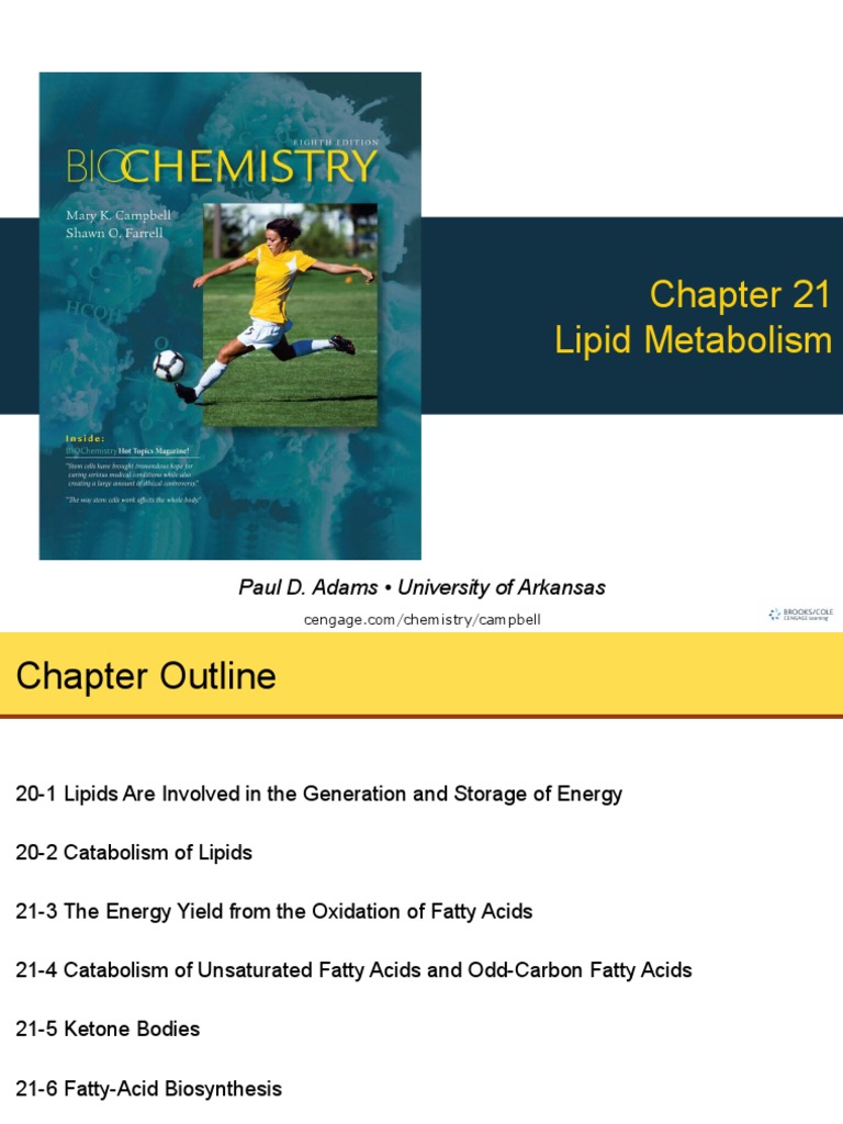 Lipid Metabolism and Fatty Acid Synthesis | PDF | Cholesterol | Fatty Acid