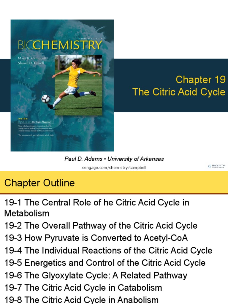 Energetics of the Citric Acid Cycle | PDF | Citric Acid Cycle | Diet ...