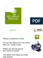 All About Rabies!: Level 3