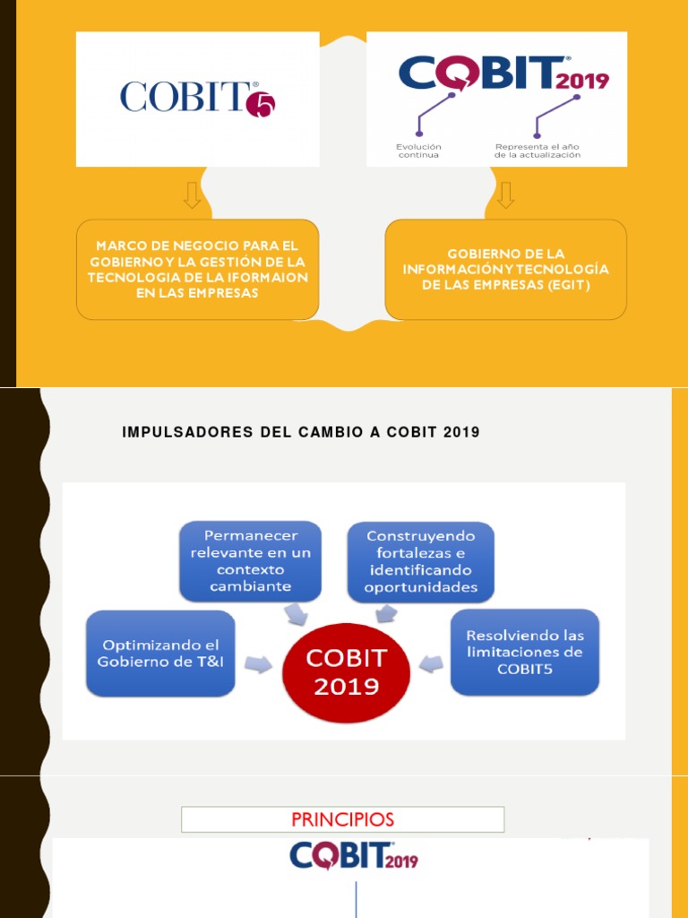 COBIT-2019 Fragen Beantworten