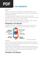 Sistema Circulatório.docx